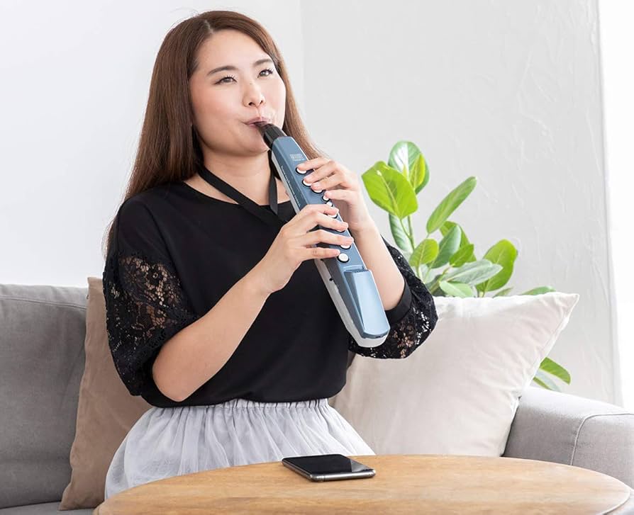 Amazon.com: Roland AE-01 Aerophone Mini Digital Wind